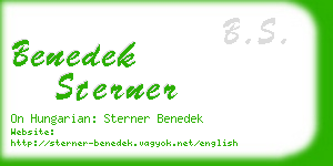 benedek sterner business card